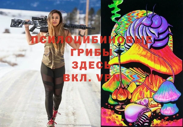 трава Абаза