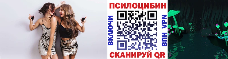 Галлюциногенные грибы Psilocybe  сколько стоит  Сертолово 